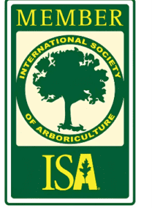 Member, International Society of Arboriculture (ISA)