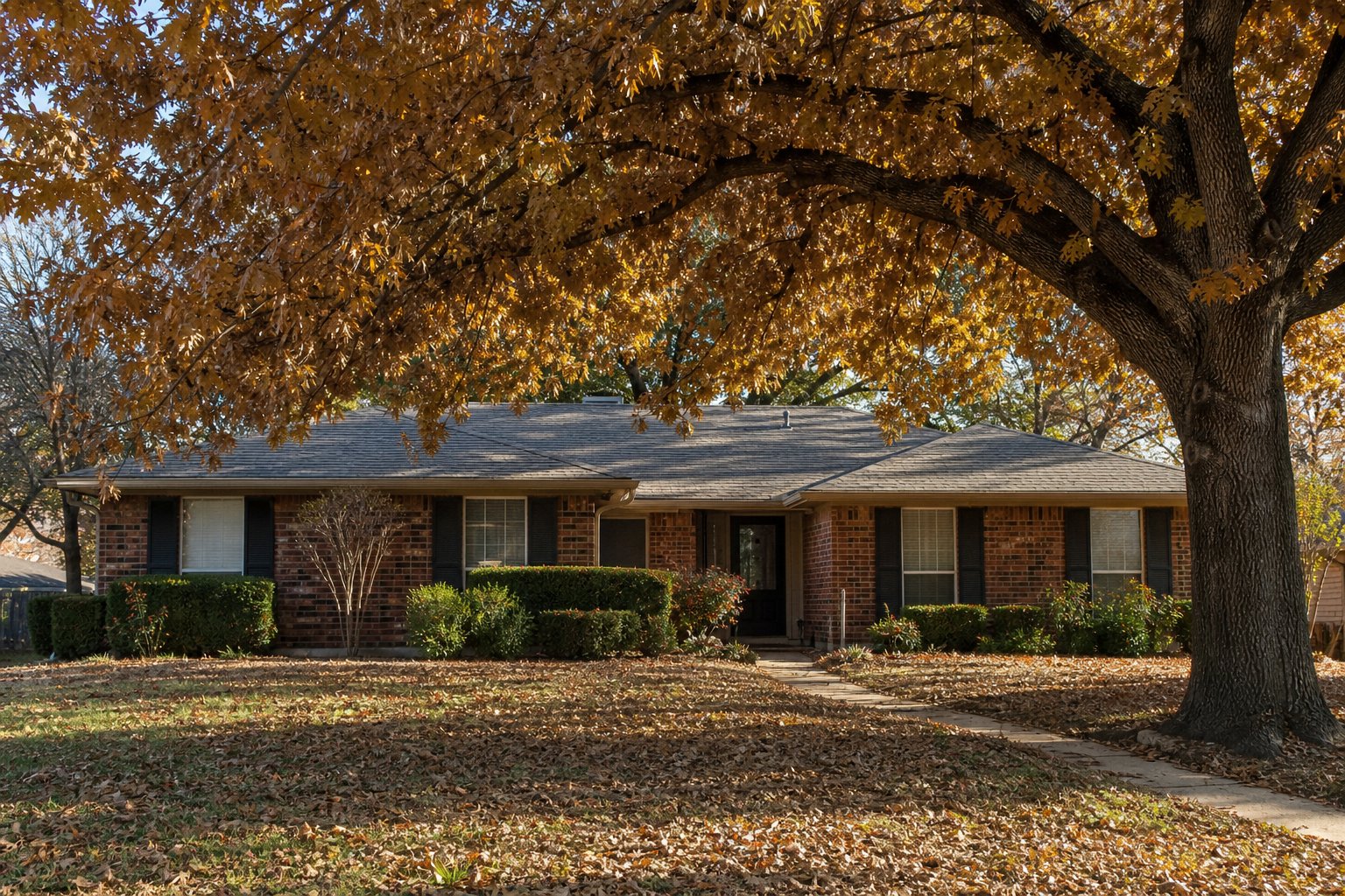 Single-story brick ranch home framed by a live oak with bronze autumn leaves, fallen leaves on the lawn, soft golden fall light