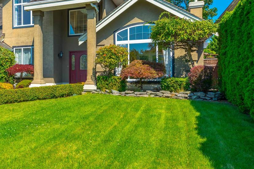 Healthy, manicured green lawn and landscaped shrubs in front of a well-kept suburban home in Tarrant County, TX