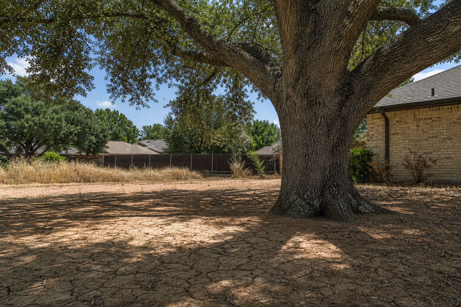 How to Water Trees During a Texas Drought